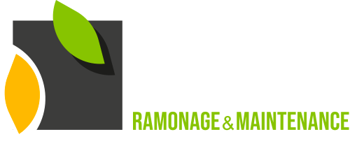 Ramonage d'un poêle à bois Justus par RSG DRIGO (groupe Ensem) - Haute  Garonne (31) à Vernet